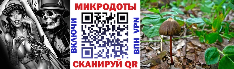 магазин    Ахтубинск  Псилоцибиновые грибы Magic Shrooms 